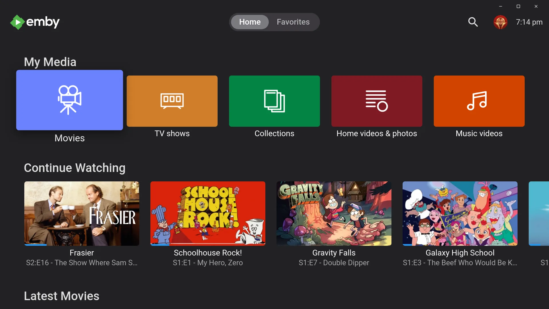 Emby screenshot